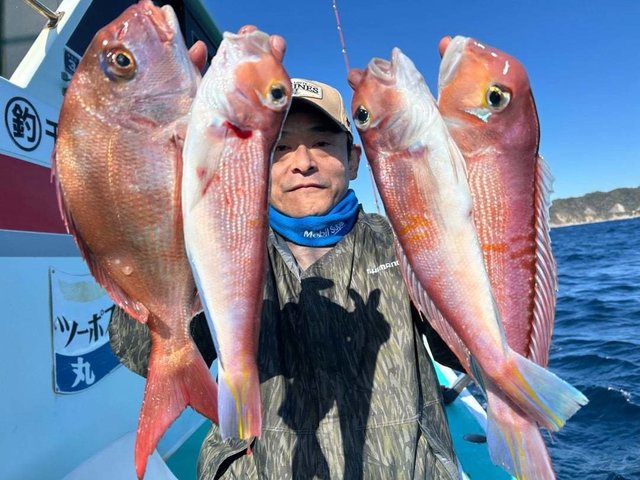 マダイ・アマダイ(アカアマダイ)