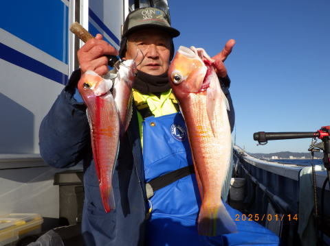 アマダイ(アカアマダイ)