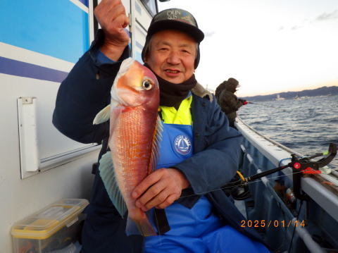 アマダイ(アカアマダイ)