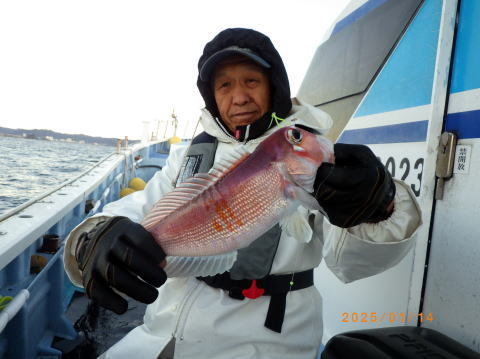 アマダイ(アカアマダイ)