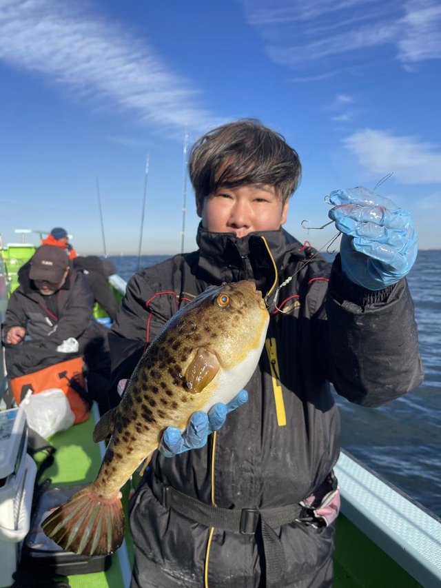 フグ(アカメフグ)