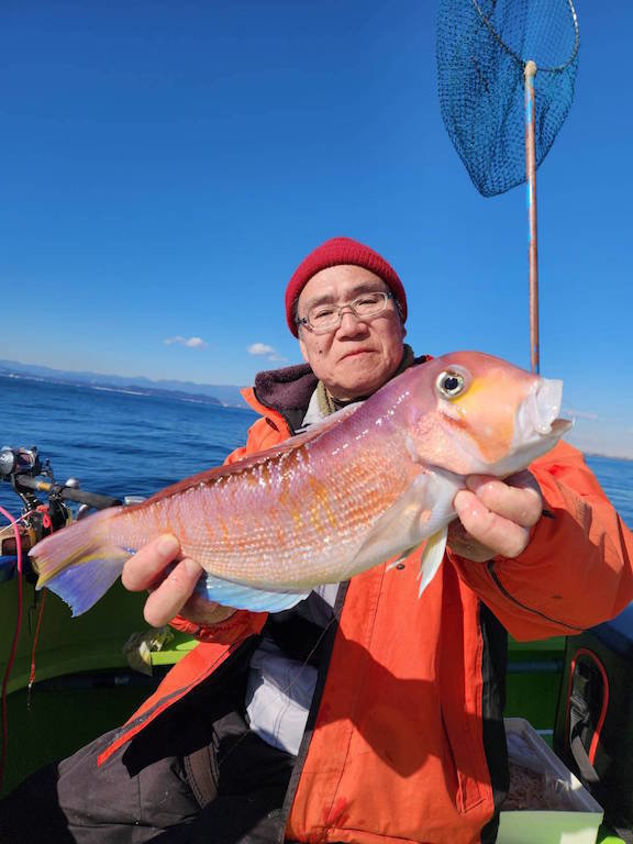 アマダイ(アカアマダイ)