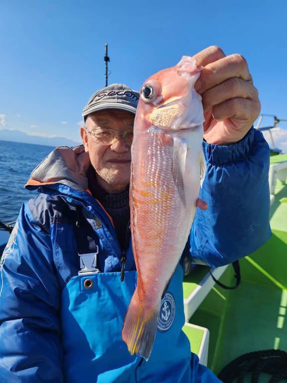 アマダイ(アカアマダイ)