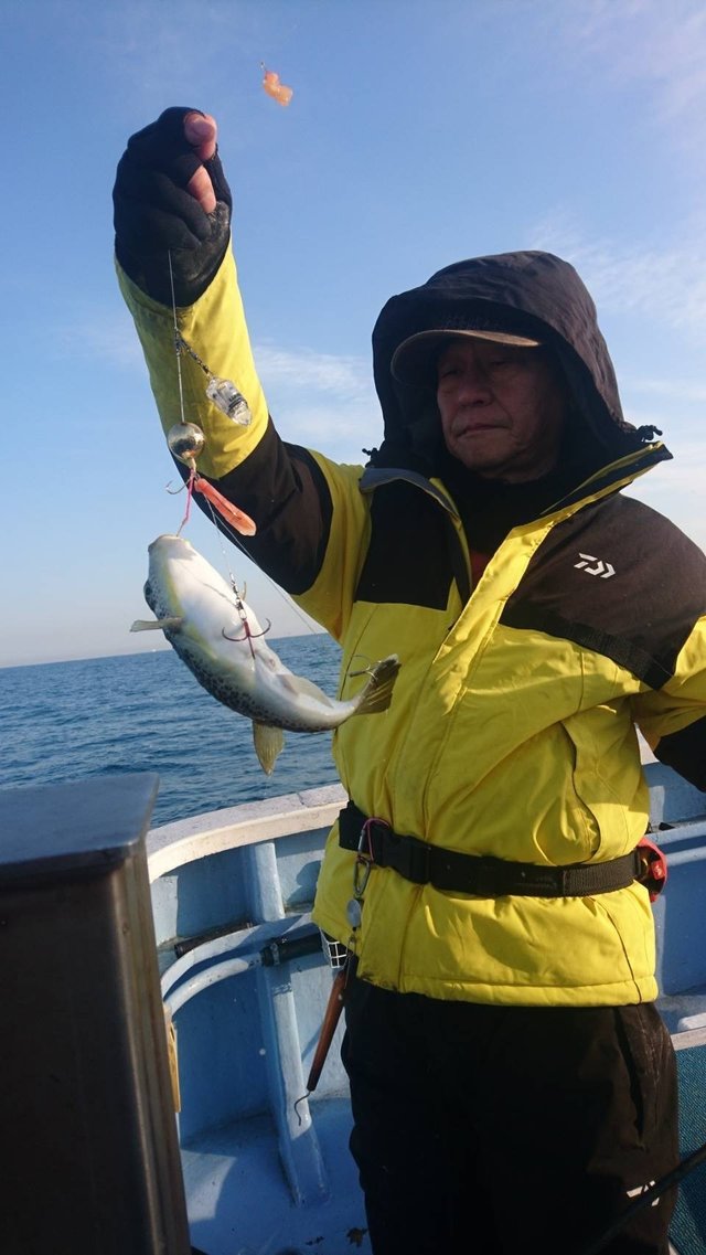 ショウサイフグ