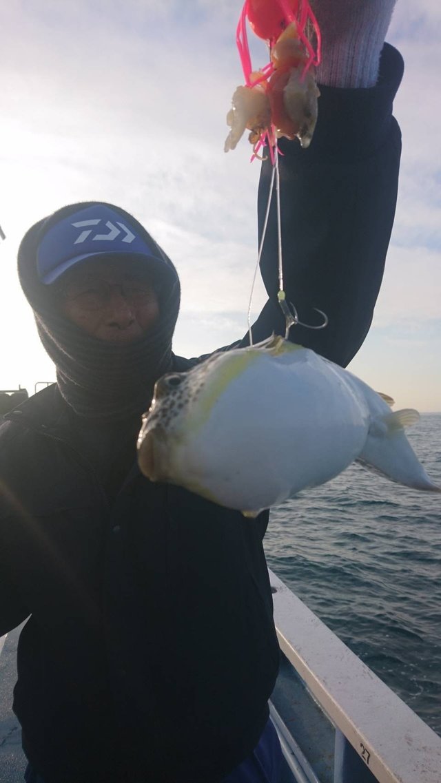 ショウサイフグ