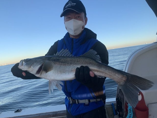 シーバス(スズキ)