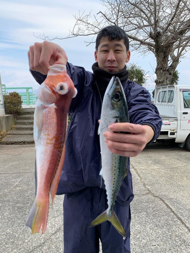 アマダイ(アカアマダイ)・サバ(ゴマサバ)