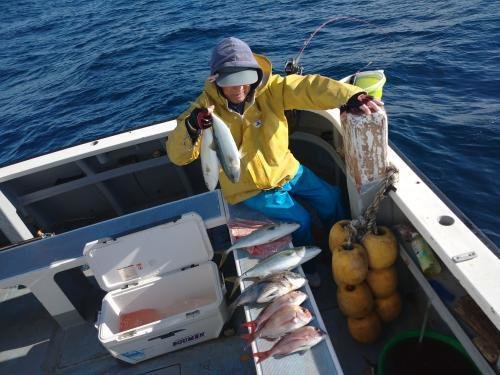 マダイ・イナダ(ブリ)