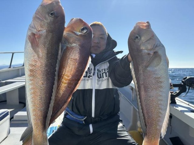 アマダイ(アカアマダイ)