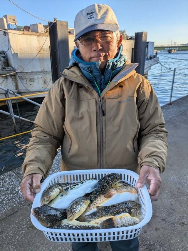 アカメフグ・ショウサイフグ