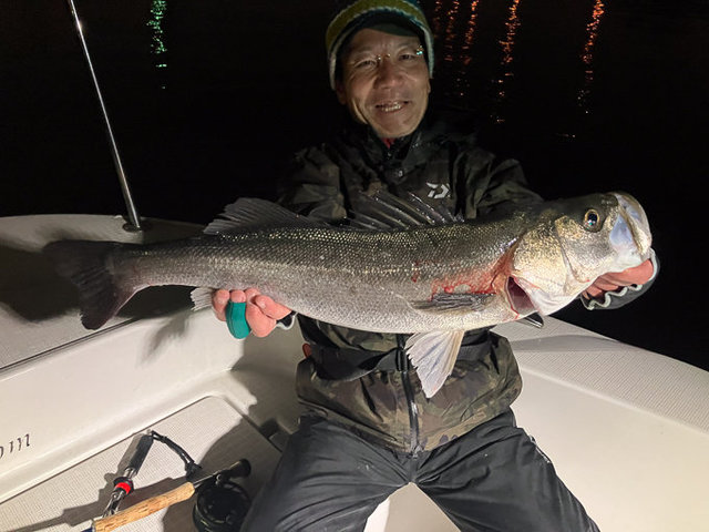 シーバス(スズキ)