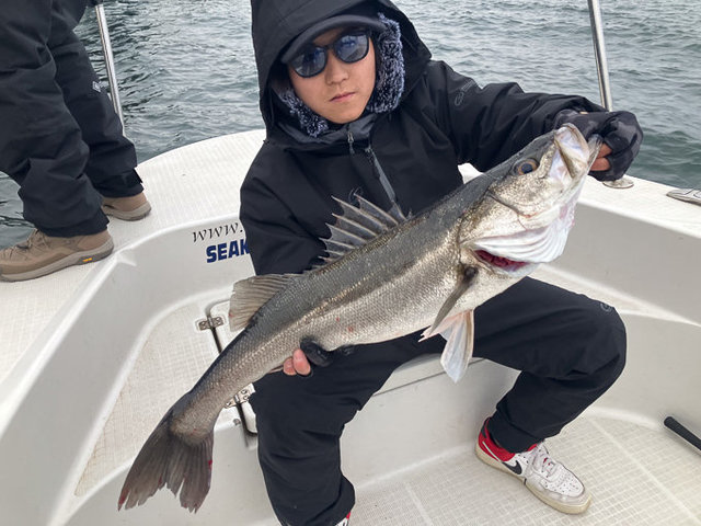 シーバス(スズキ)