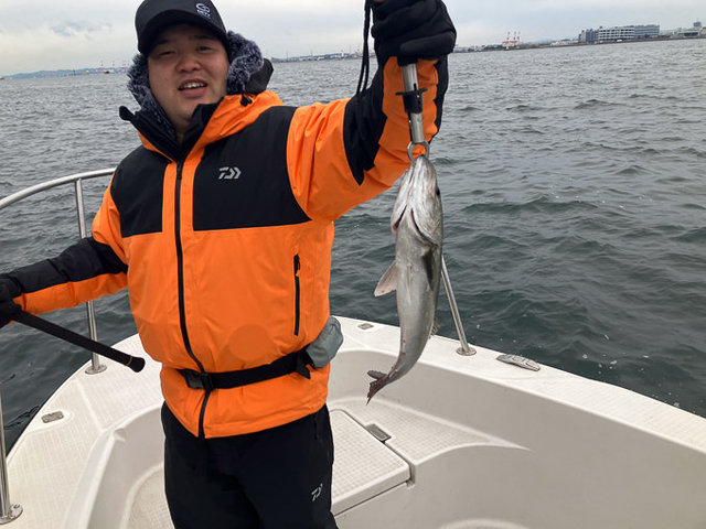 シーバス(スズキ)