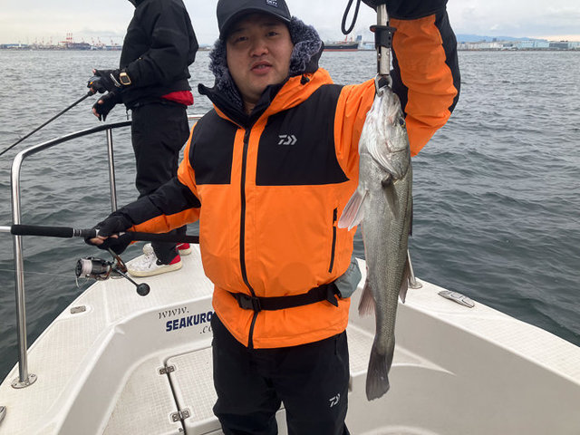 シーバス(スズキ)