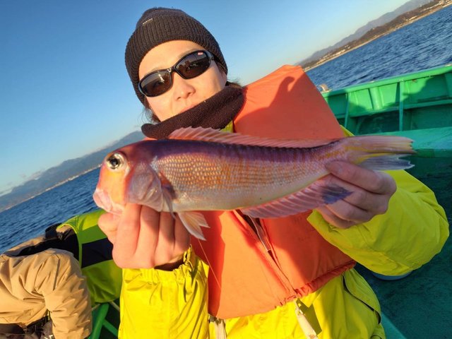 アマダイ(アカアマダイ)