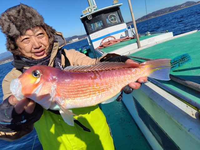 アマダイ(アカアマダイ)