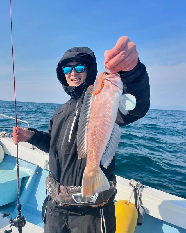 アマダイ(アカアマダイ)