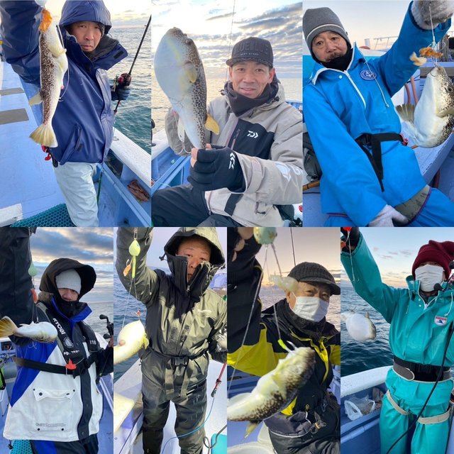 ショウサイフグ