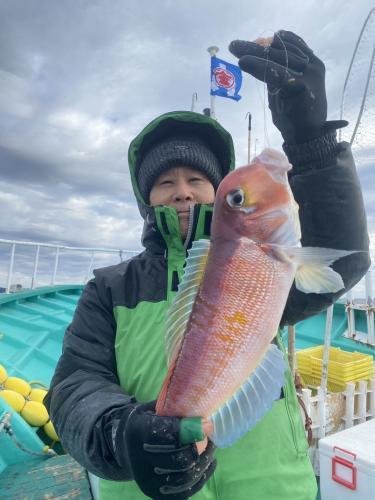 アマダイ(アカアマダイ)