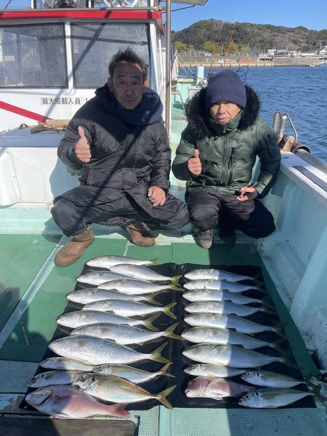 マダイ・マアジ・ハマチ(ブリ)