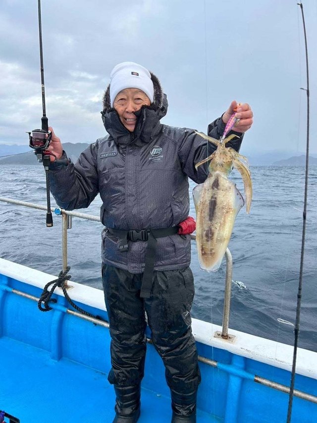 イカ(アオリイカ)