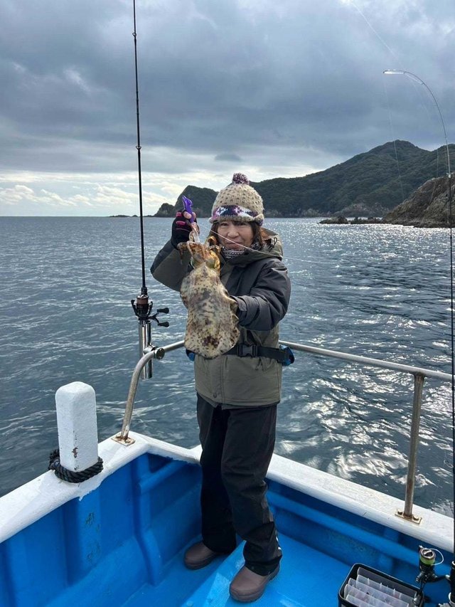 イカ(アオリイカ)