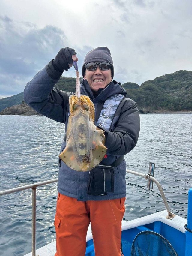 イカ(アオリイカ)