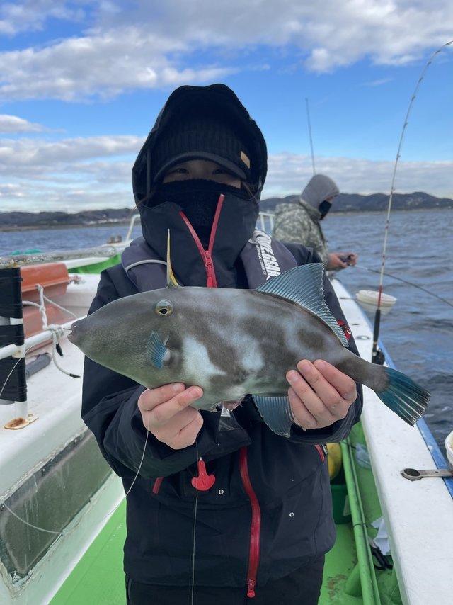 ウマヅラ(ウマヅラハギ)