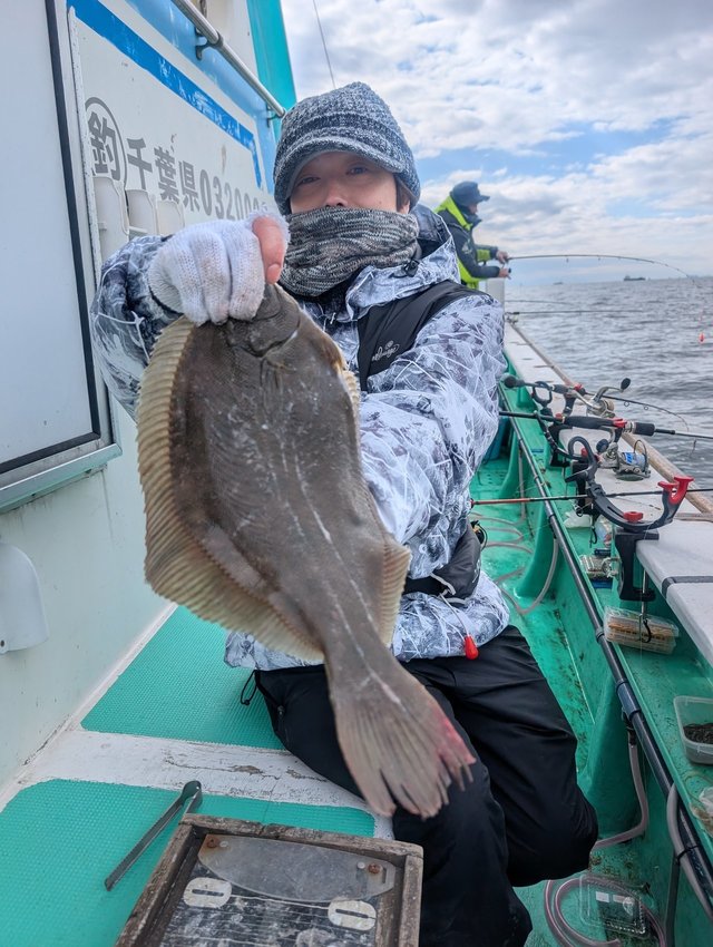 カレイ(マコガレイ)