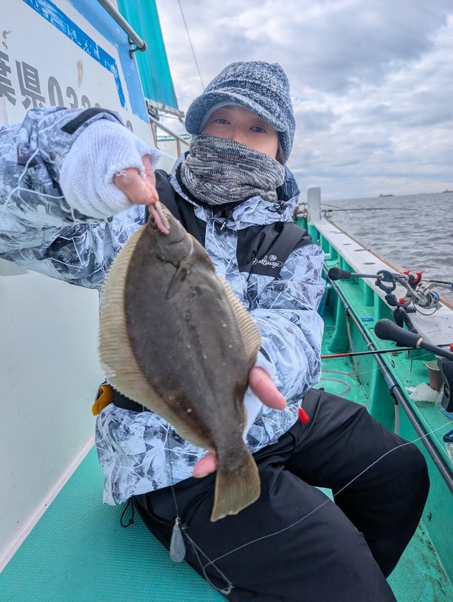 カレイ(マコガレイ)