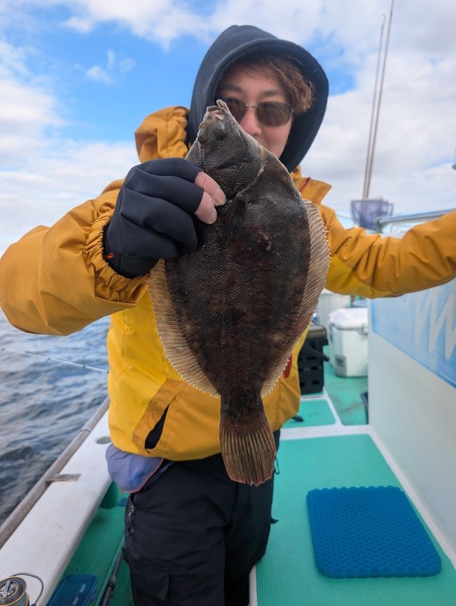 カレイ(マコガレイ)