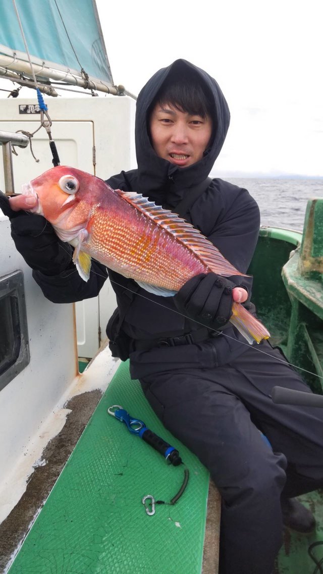 アマダイ(アカアマダイ)