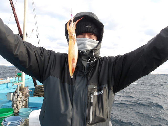 マルイカ(ケンサキイカ)