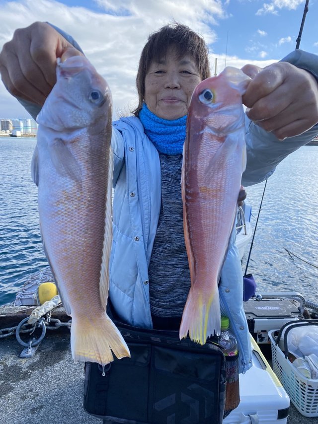 アマダイ(アカアマダイ)