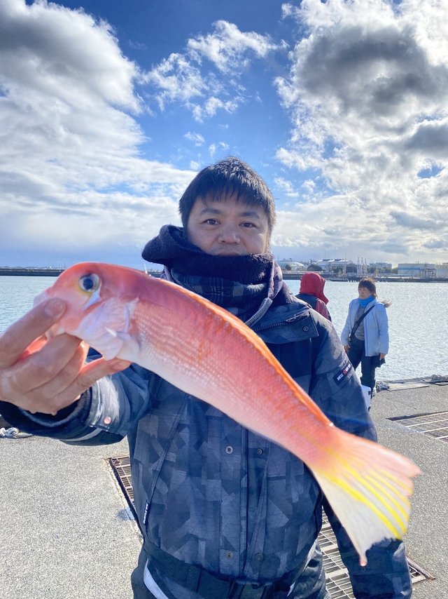 アマダイ(アカアマダイ)