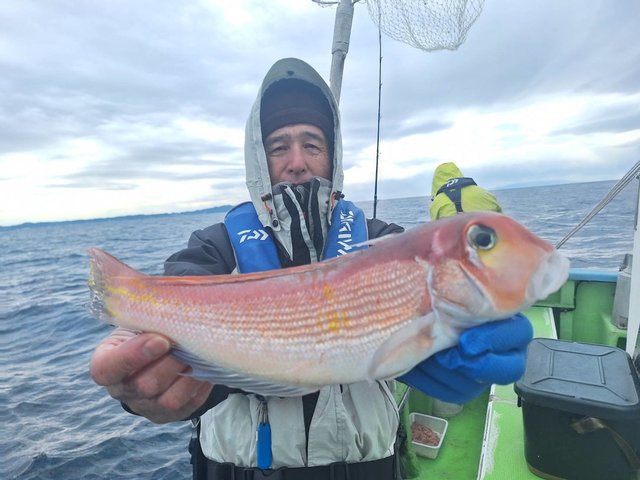 アマダイ(アカアマダイ)