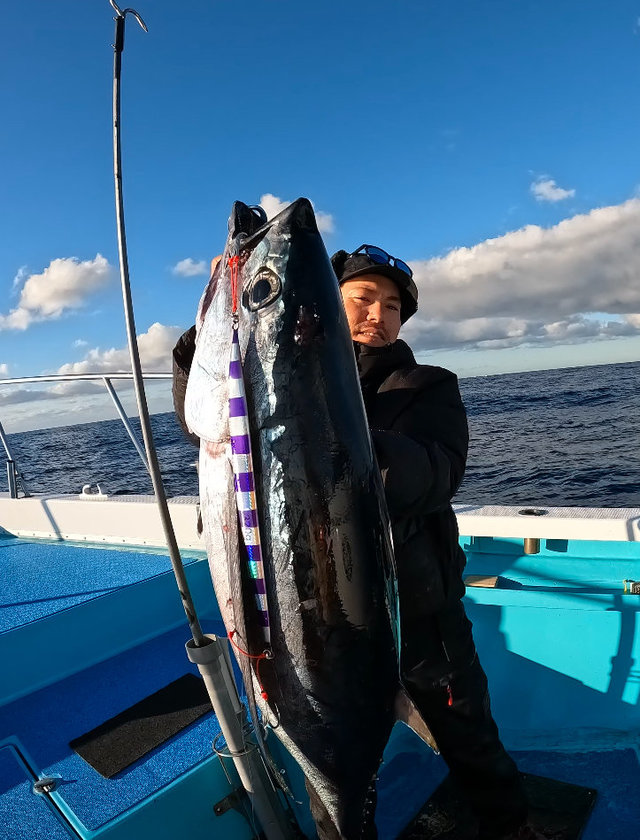 ビンチョウマグロ(ビンナガ)