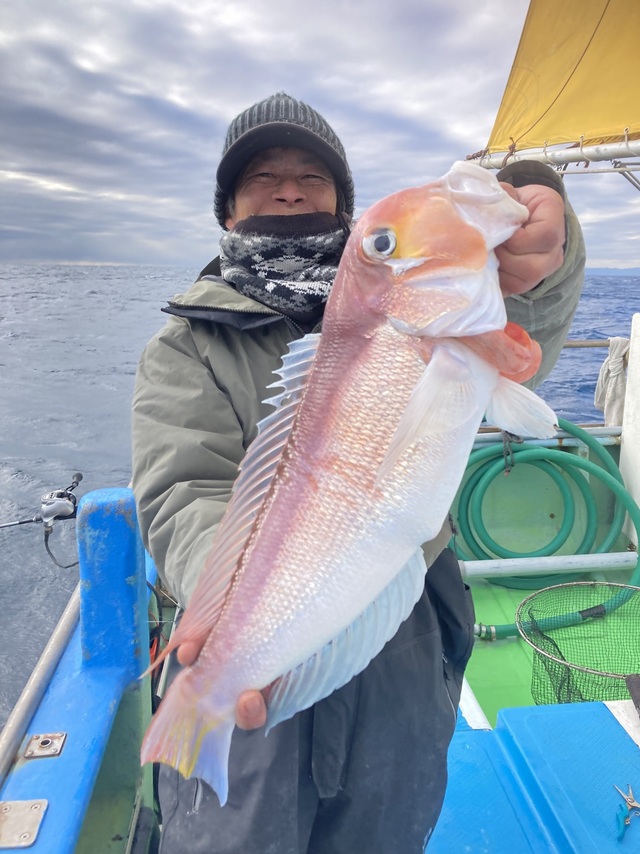 アマダイ(アカアマダイ)