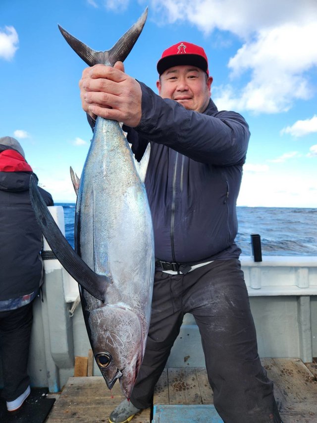 トンボ(ビンナガ)