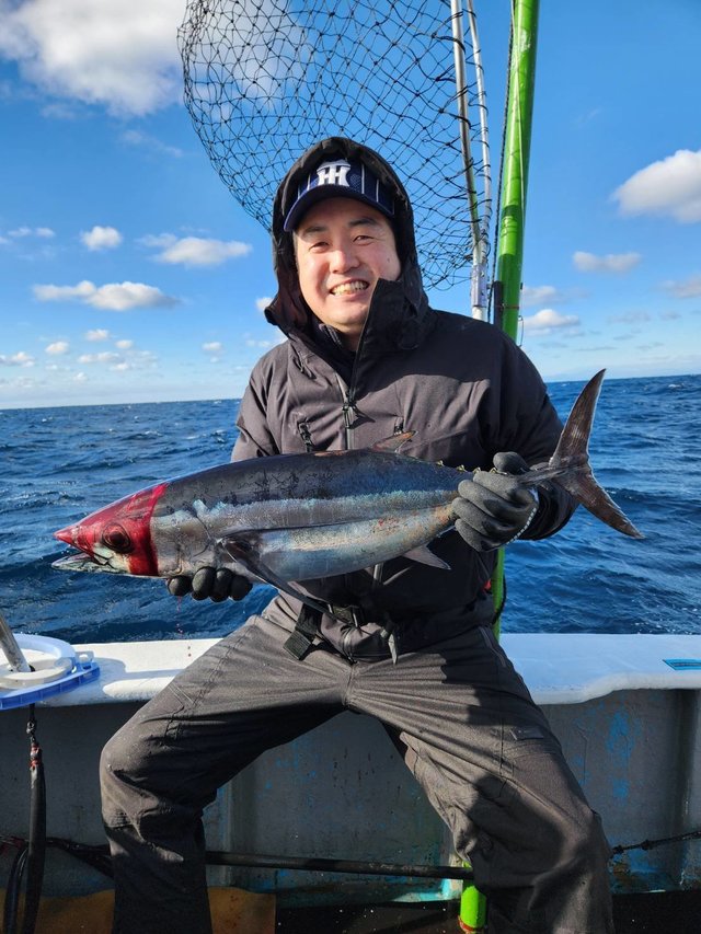 トンボ(ビンナガ)