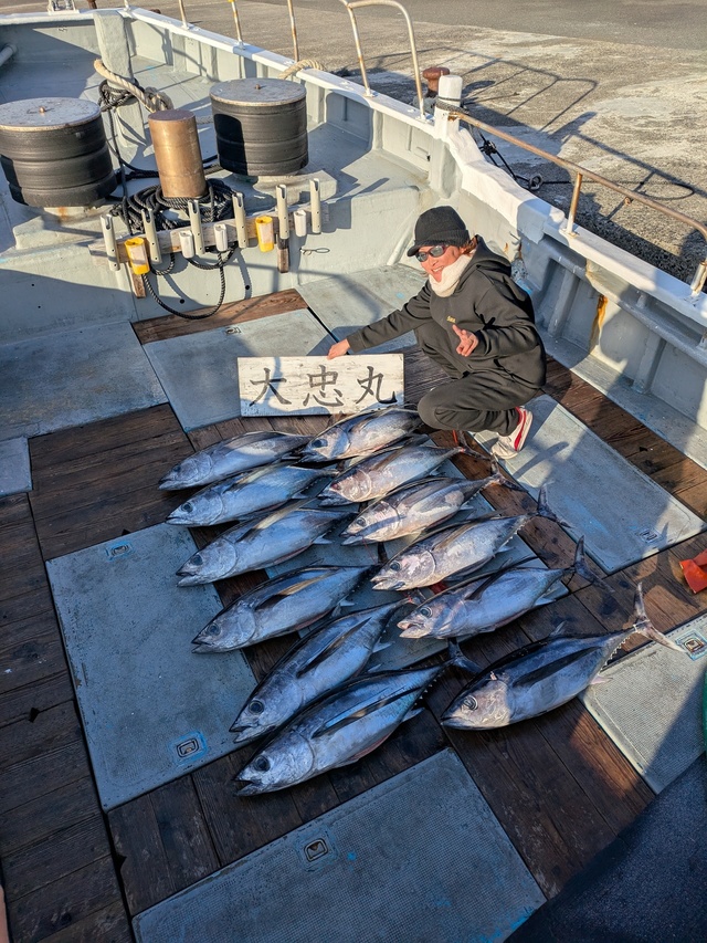 トンボ(ビンナガ)