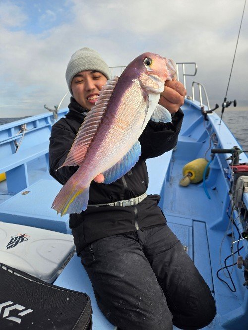 アマダイ(アカアマダイ)