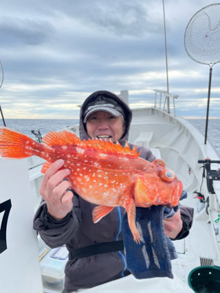 カンコ(ウッカリカサゴ)