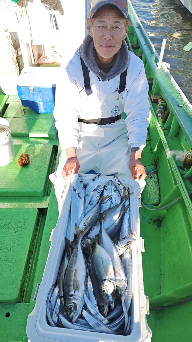 アジ(マアジ)・タチウオ