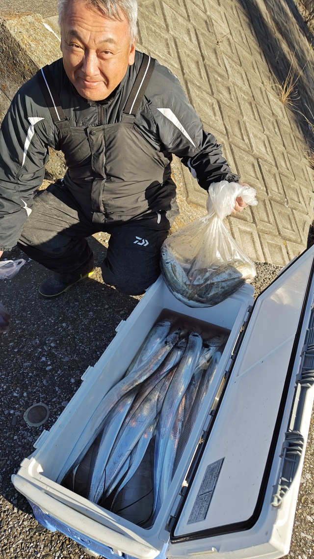 アジ(マアジ)・タチウオ