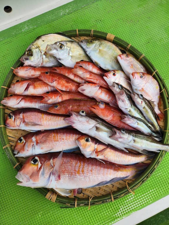 キダイ・アラ・カイワリ・アマダイ(アカアマダイ)・アカボラ(ヒメコダイ)