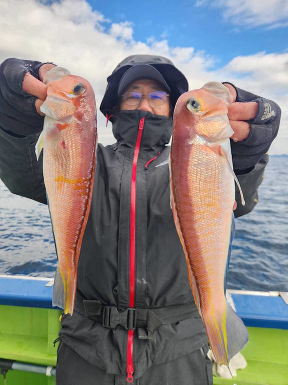 アマダイ(アカアマダイ)