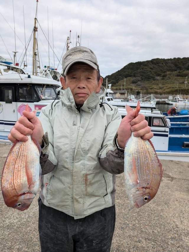 ハナダイ(チダイ)