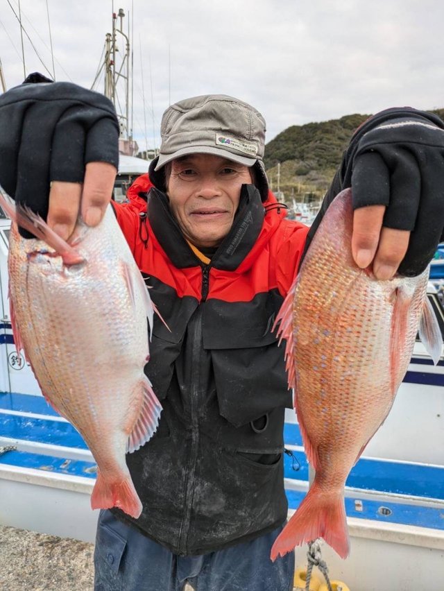 ハナダイ(チダイ)