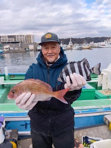 マダイ・イシダイ